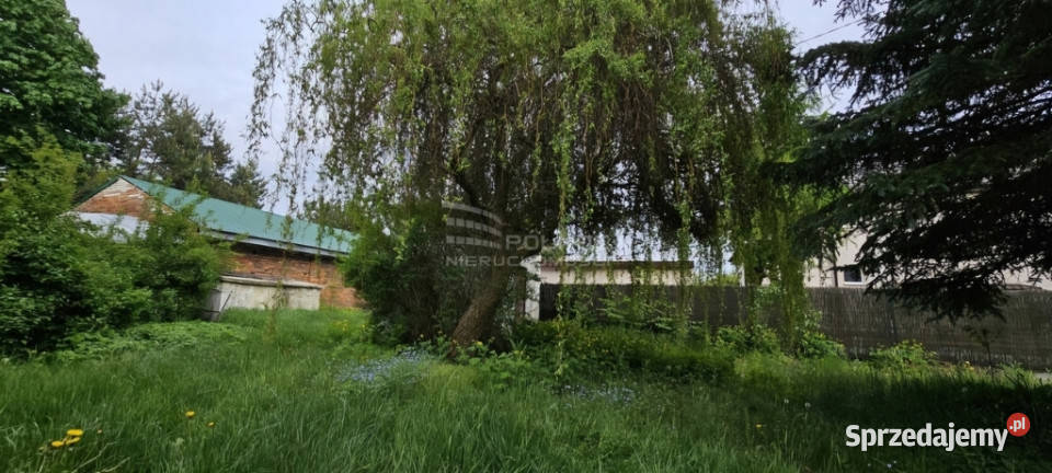 Malownicza działka budowlana na sprzedaż Wólka Rokicka-Kolonia