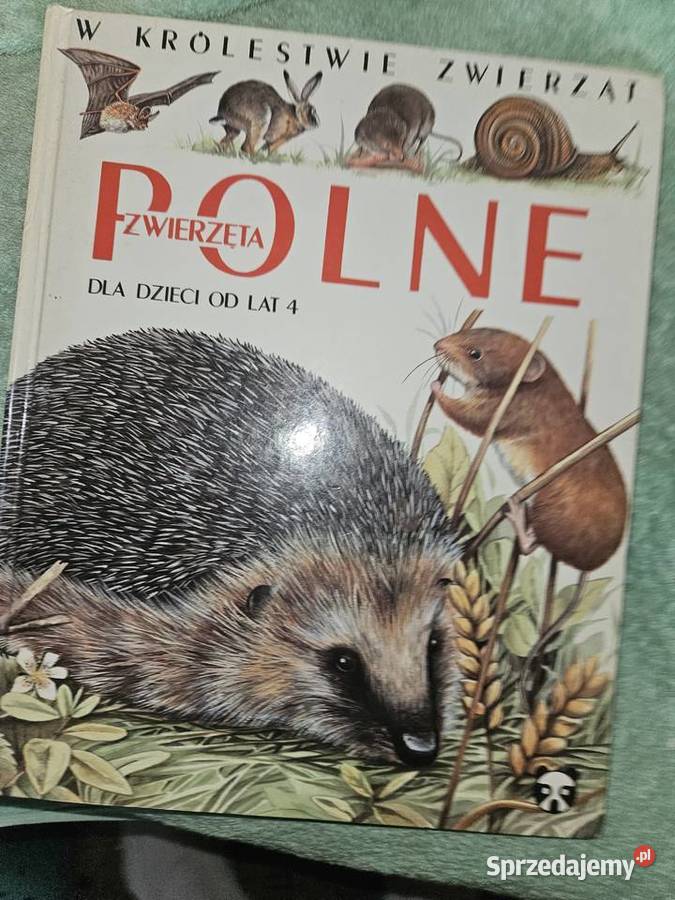 Zwierzęta polne Warszawa