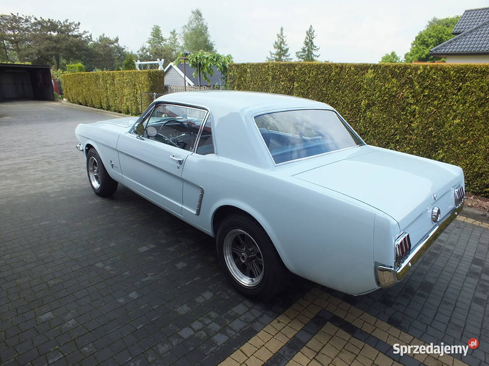 Auto Do Ślubu Wesele Ford Mustang ŚLĄSK Golasowice