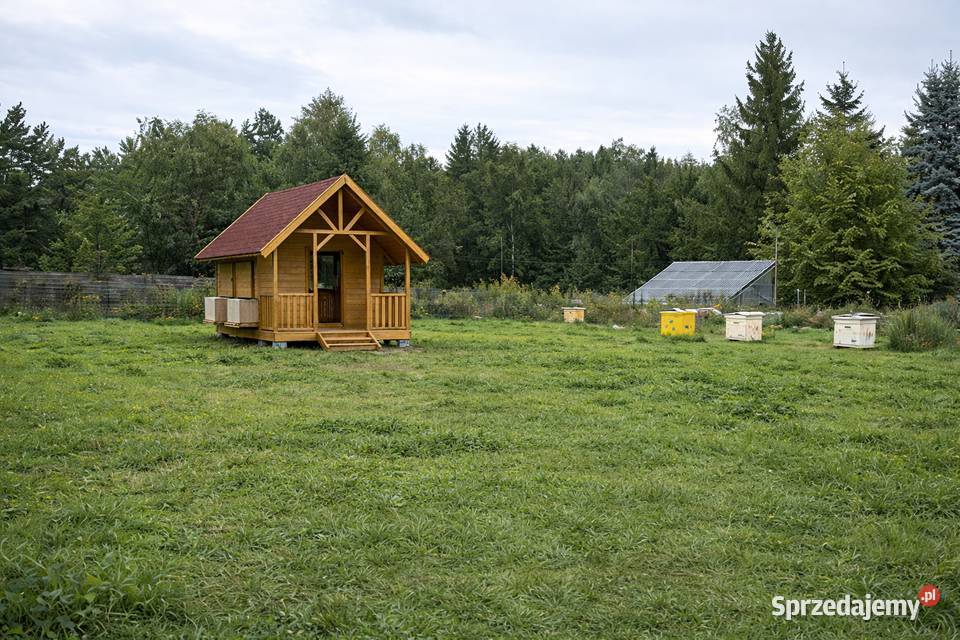 APIDOMEK Drewniany apidomek do apiterapii Szczawnica