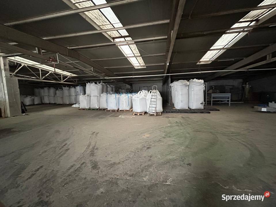 Wynajem hali Aleksandria