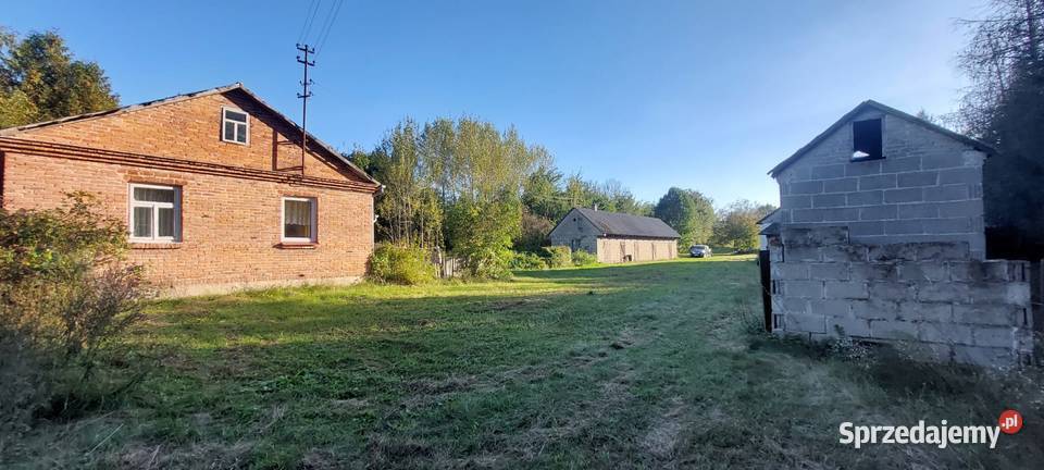 Dom murowany na działce 45 ar Hniszow Gmina Ruda Hniszów sprzedam