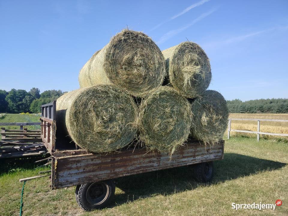 Pogodne siano zbiór 2025 Rolka kostka Słoma Trawy, słoma Cyców