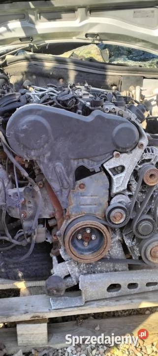 Silnik audi a6 20 diesel Rok produkcji 2009 Słupsk