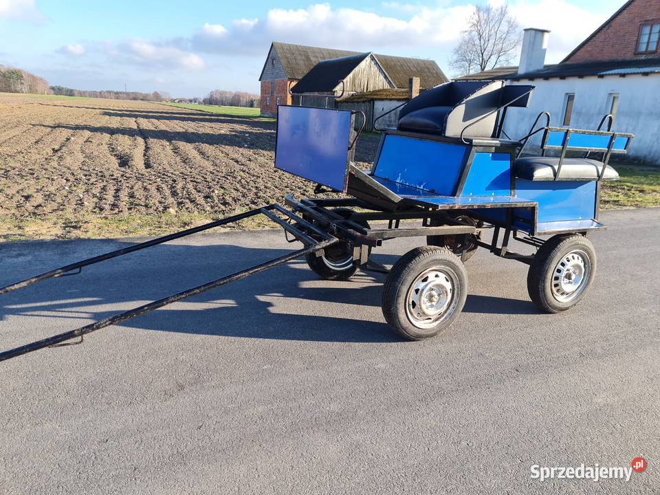 Bryczka do konia Turek