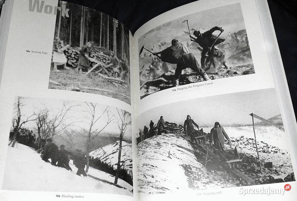 Gulag A History of the Soviet Camps Anne Chełm sprzedam