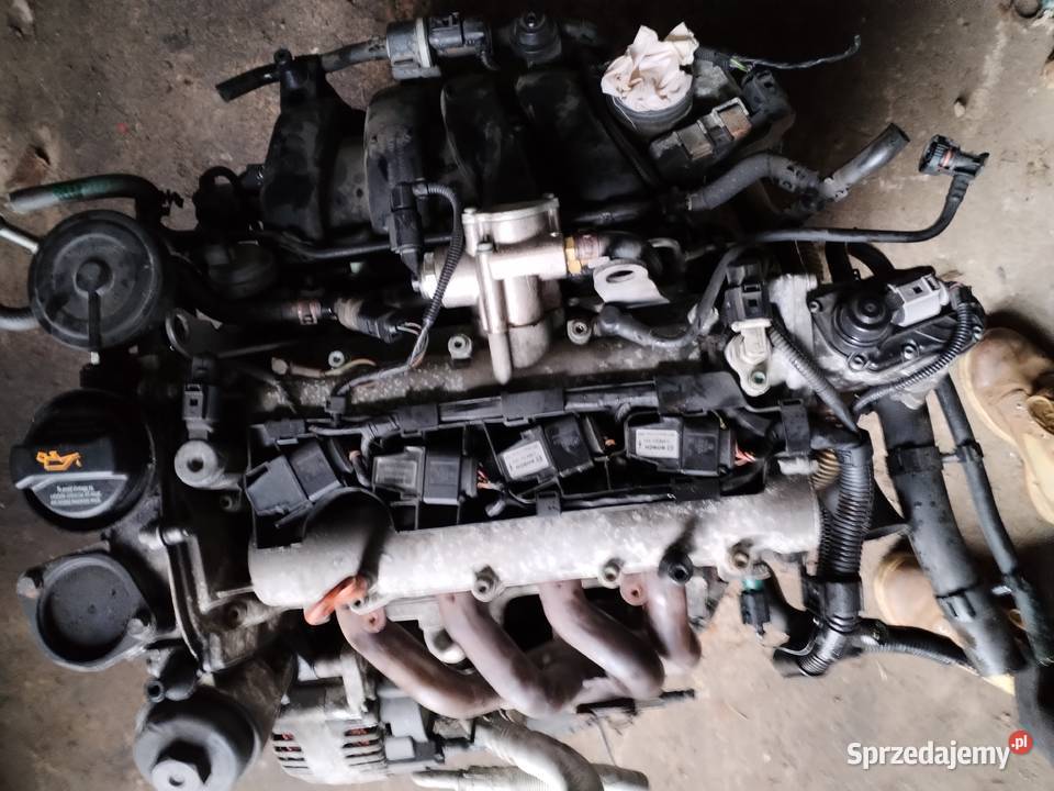 Silnik VW Golf V Plus 16 fsi BLF Chęciny