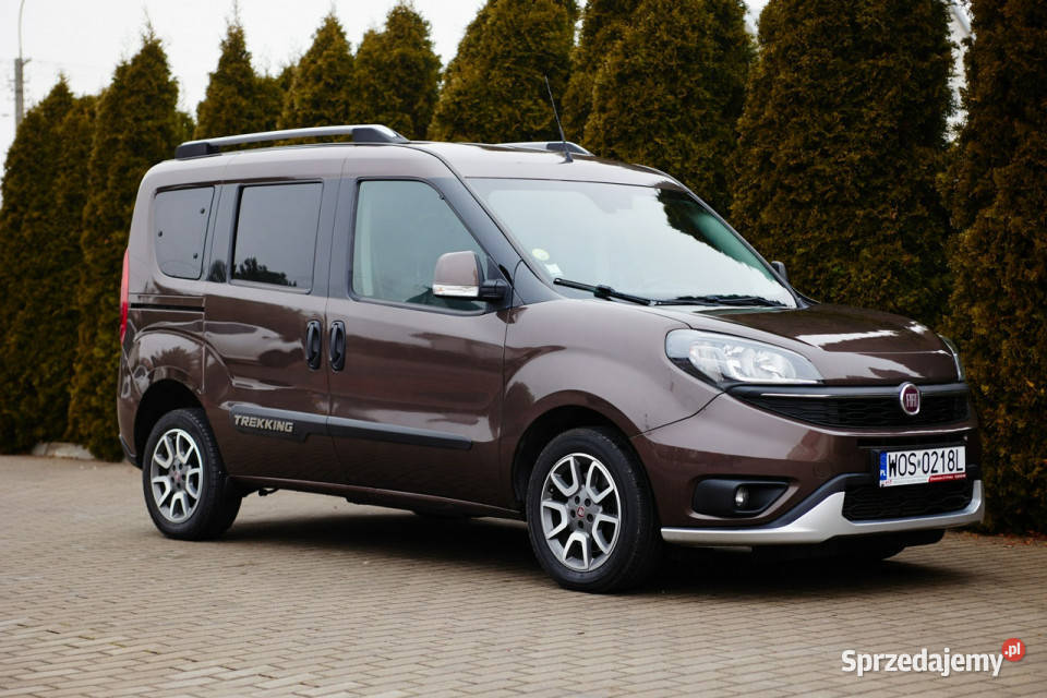 Fiat Doblo II 2009 Rzekuń