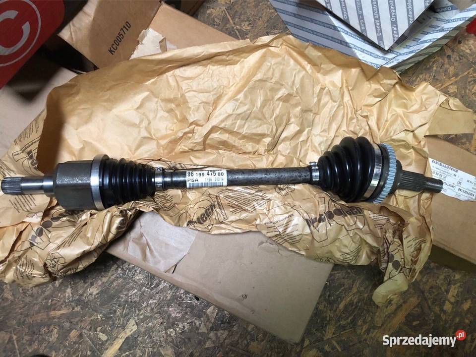 Os napedowa lewy przód o numerze artykułu Kozy