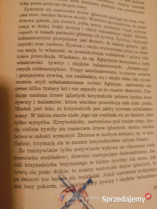 Obrazki z życia ptaków w zimie Sokołowski