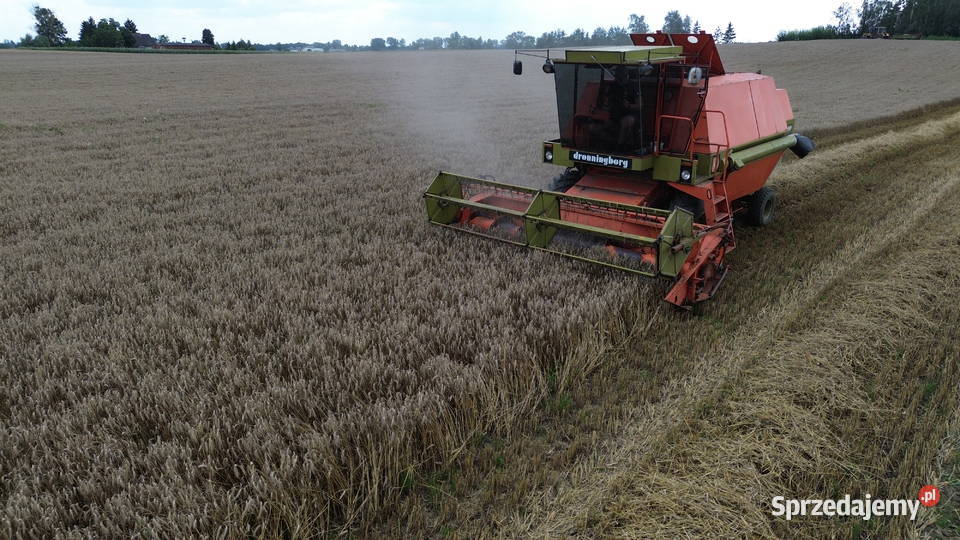 Dronningborg D7000 Bizon Z056 Class Holland Jabłonowo Pomorskie