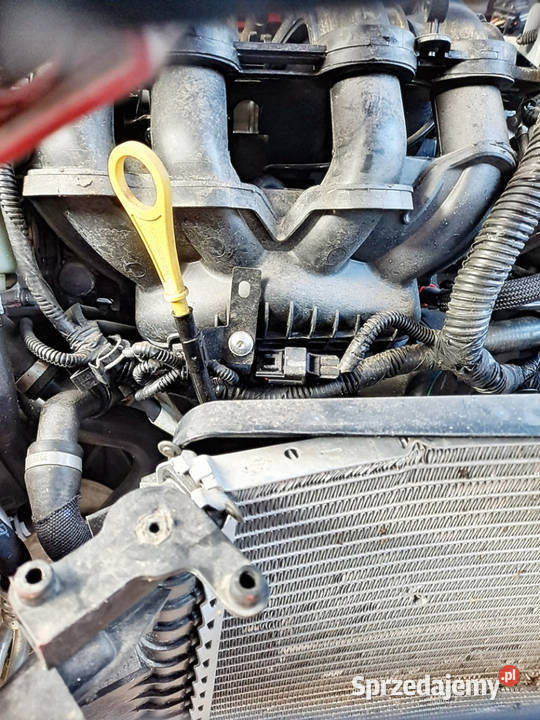 FORD FOCUS 3 MK3 NA CZĘŚCI 16 B 16V 1019 SILNIK osobowe śląskie Sosnowiec