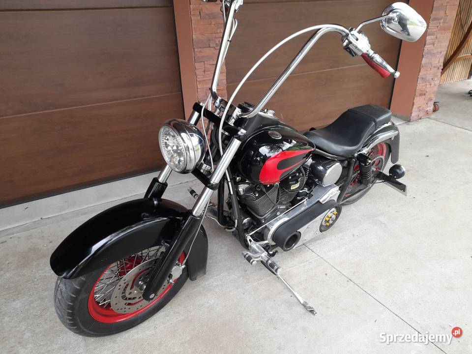 Sucker Lunch Sally Springer podkarpackie