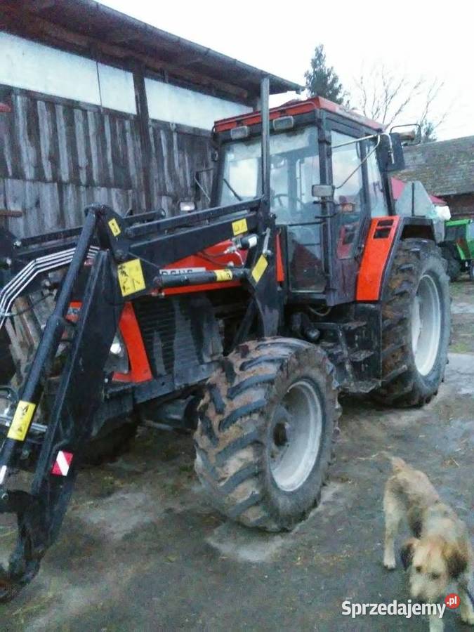 Ursus 1234 nieuszkodzony Kiersnowo