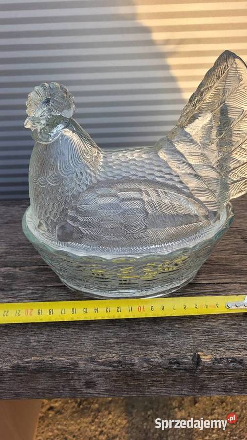 Duża kura prl Ciechanowiec