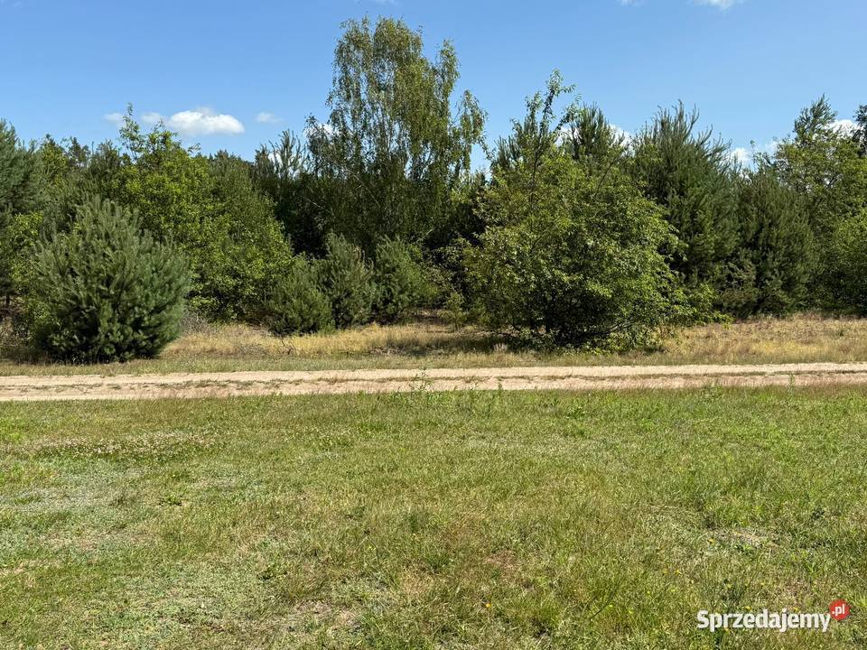 Dom lesie jeziorem Białe 982m2