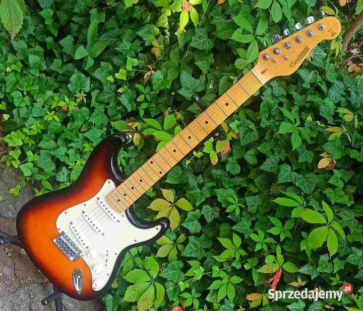 Gitara elektryczna Stratocaster Tanglewood Tuszyn