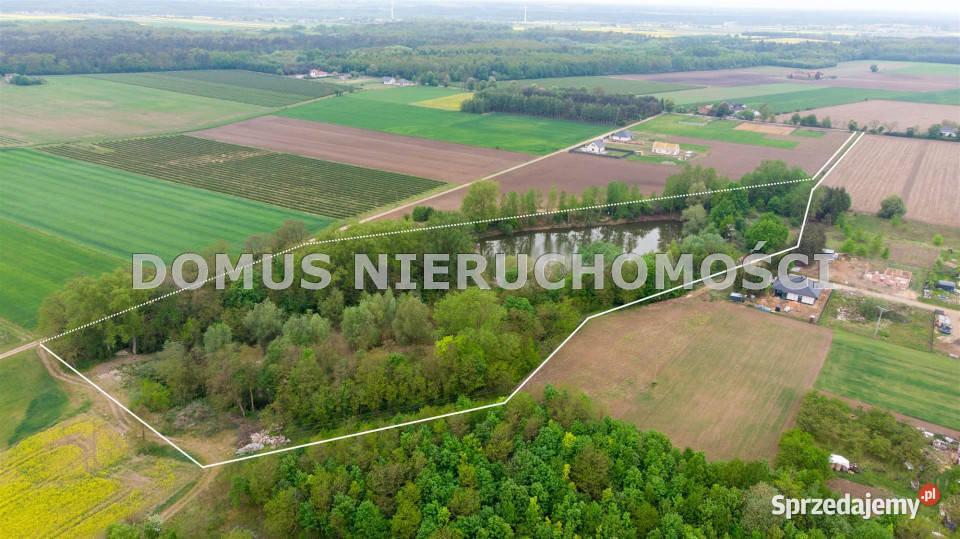 Grunt 43352m2 Kutno łódzkie