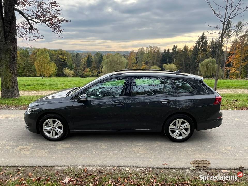 Volkswagen Golf VIII 20 TDI małopolskie Kalwaria Zebrzydowska