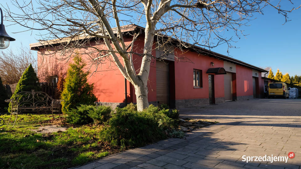 Dom 245 m Magazyny 281 m Pabianic ogródek