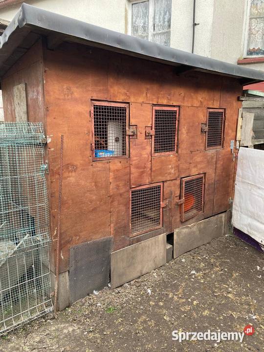 Sprzedam klatkę królików odchowu kurcząt Damasławek
