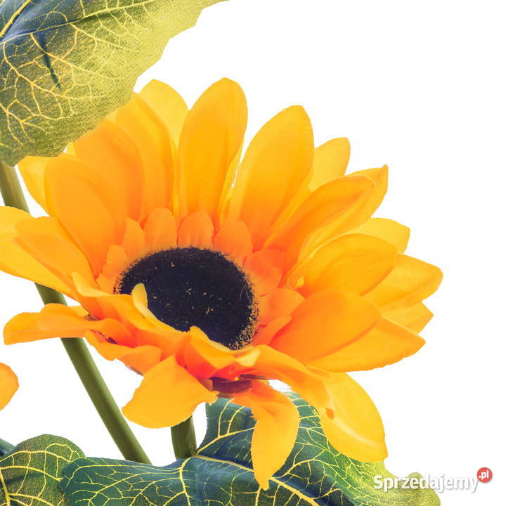 Lampa solarna ogrodowa wbijana Słonecznik małopolskie Limanowa sprzedam