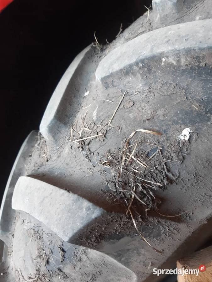 International 744 Boży Dar