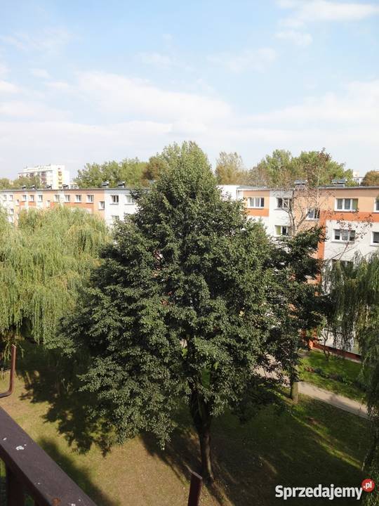 M3 Żubardź do wprowadzenia Łódź