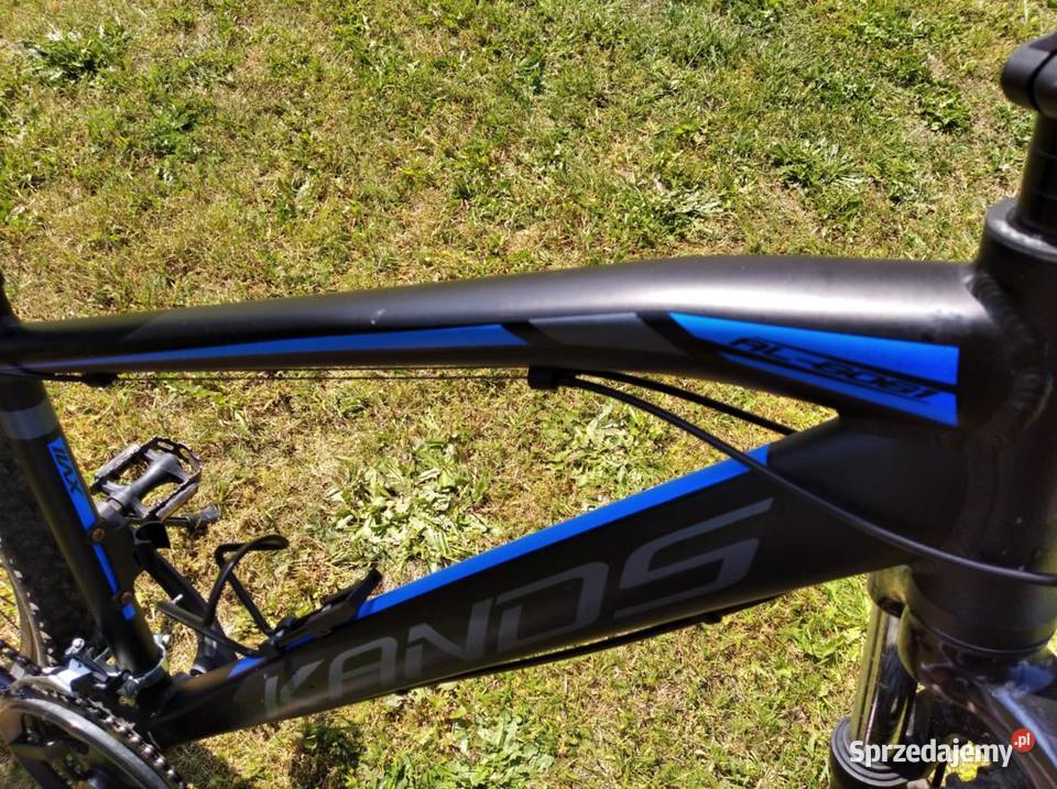 Rower męski koła 29 Pozostałe podkarpackie Radomyśl Wielki