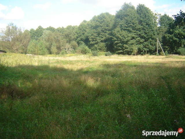 Działka rolnobudowlana 216 ha Młodzieszyn Młodzieszyn