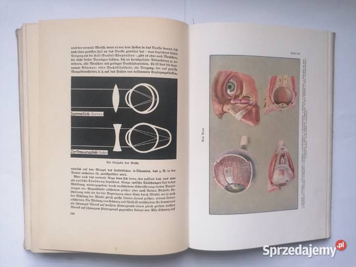 książka anatomia ciała 1936r DrHerbert Michael Piotrków Trybunalski