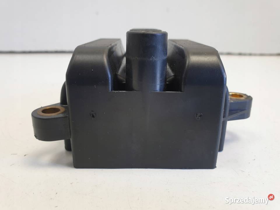 CEWKA ZAPŁONOWA Renault Clio III 12 Rudka