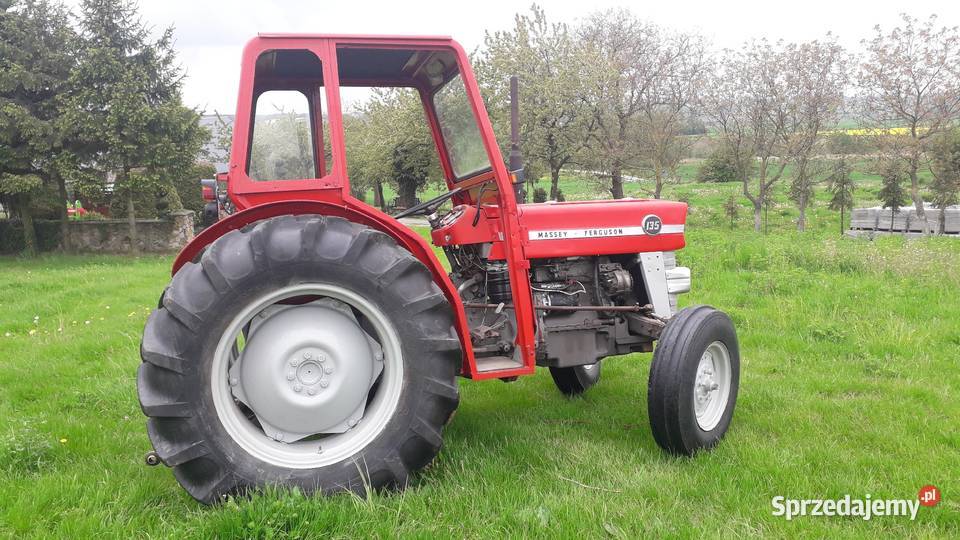 Massey Ferguson 135 S stan Bogoria