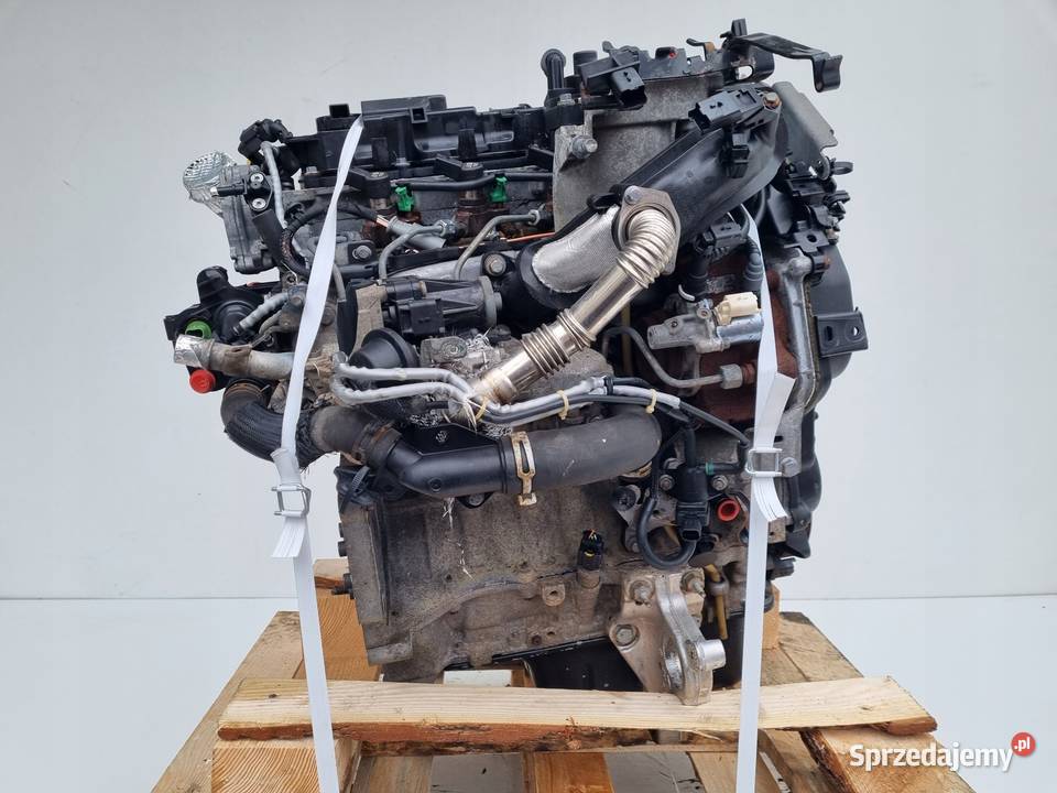 SILNIK KOMPLET Citroen Berlingo II 16 HDI EHDI osobowe Rudka