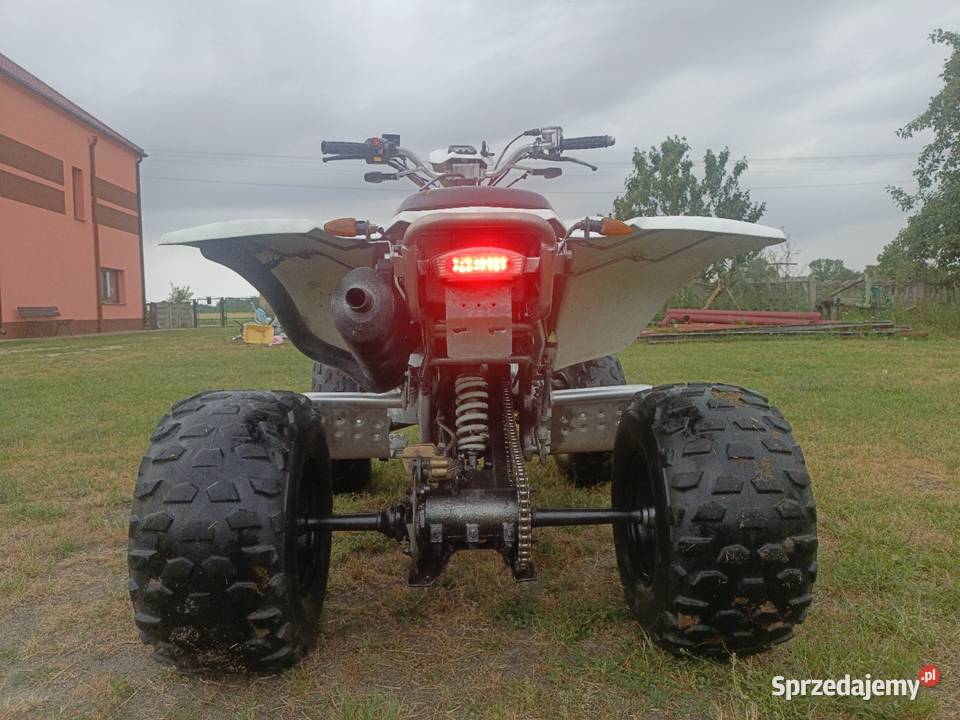 Quad dinli dl801 3003