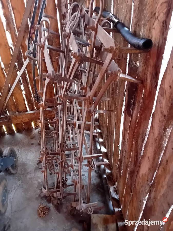 Sprzedam brony 5 Grudno sprzedam