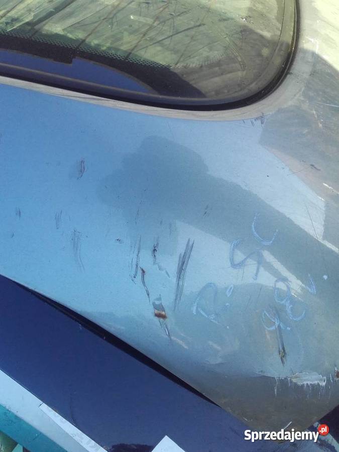 Renult Scenic 1 klapa tylna z szybą Ksawerów