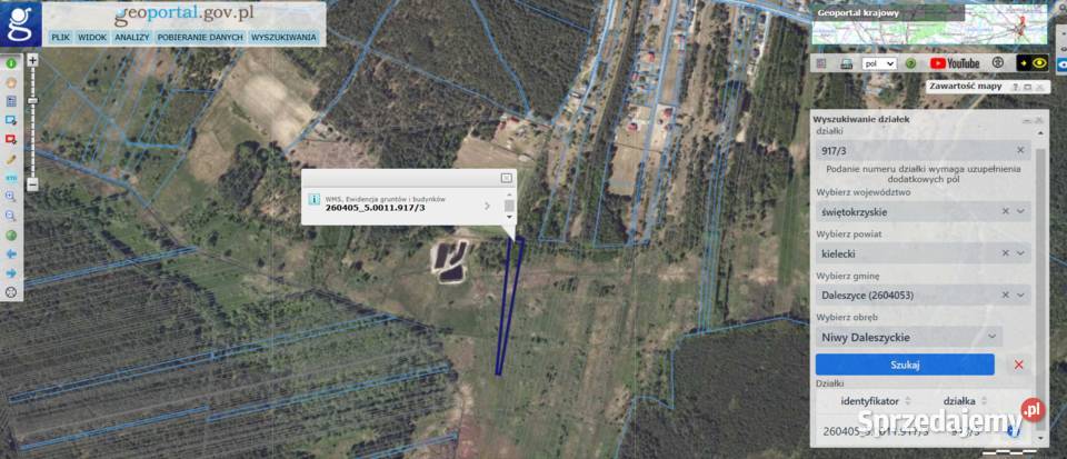 Sprzedam działkę 4100 m2 Niwy Daleszyckie 5 m2 Sprzedaż świętokrzyskie sprzedam