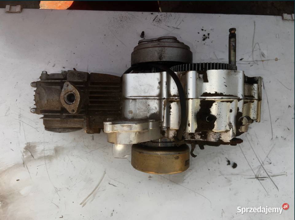 Silnik Kingway XT50Q wielkopolskie