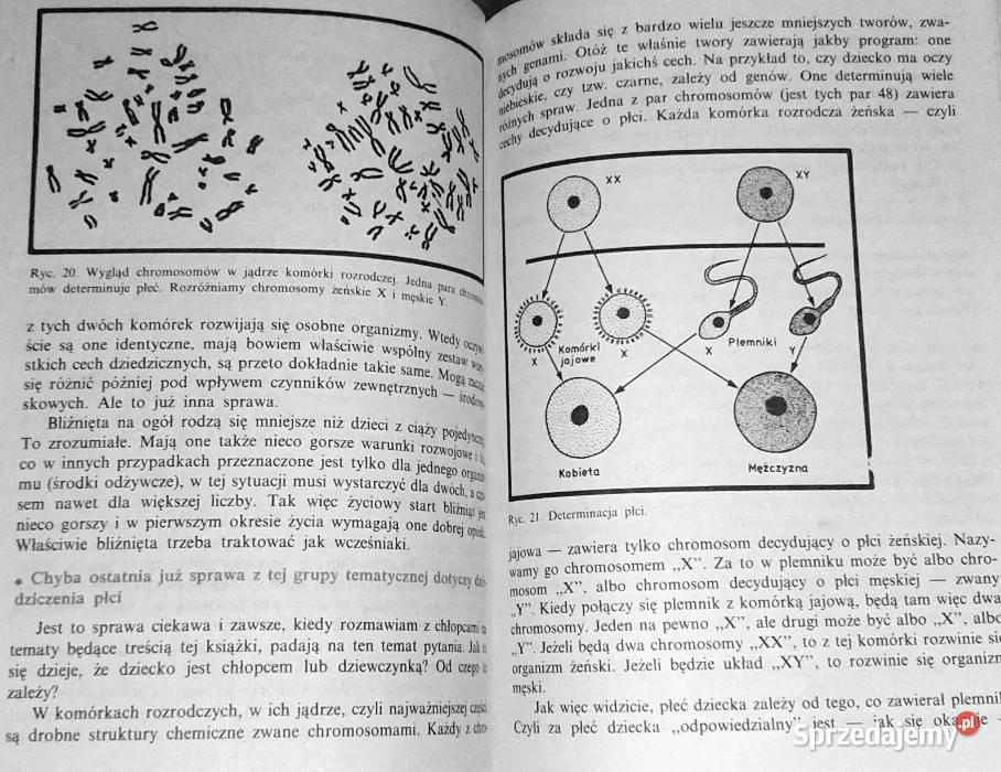 O chłopcach chłopców Andrzej Jaczewski Rok wydania 1990 Chełm