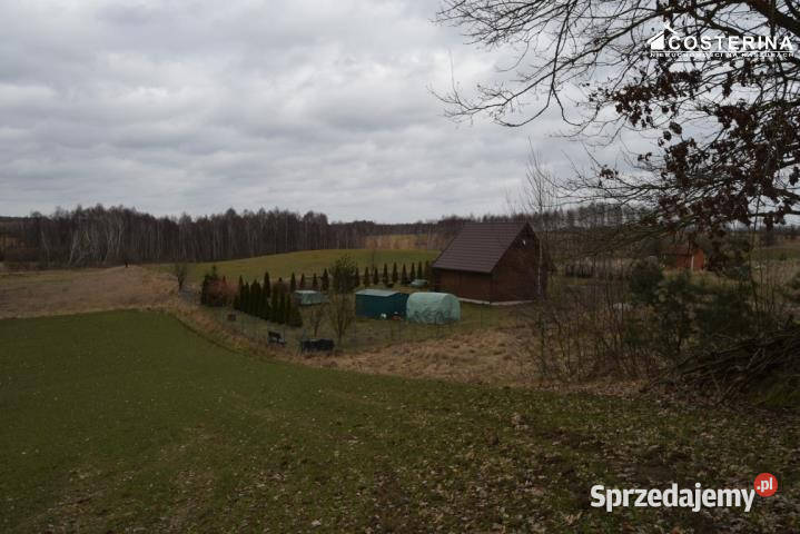 Działka Równe 14000m2