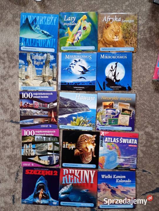 Zestaw DVD telewizorvideopłyty Grundig Głubczyce