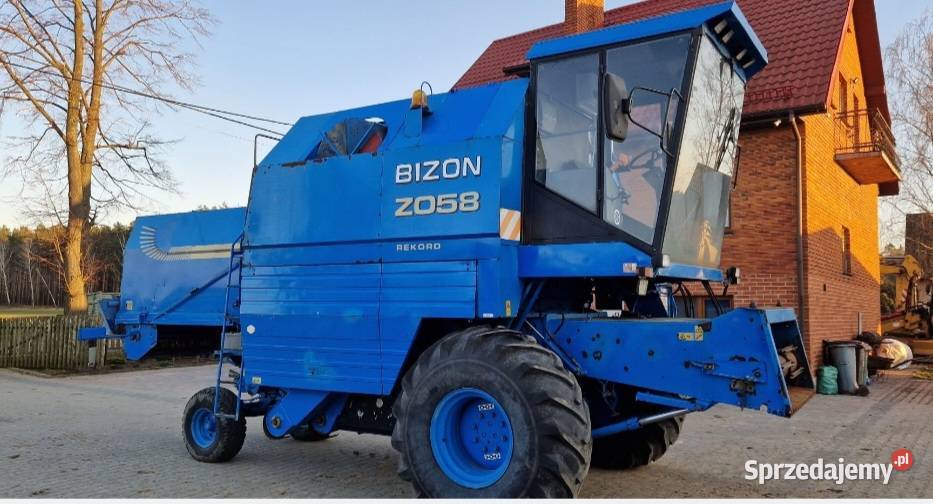 Bizon rekord z 58 milenium Bizon Konin