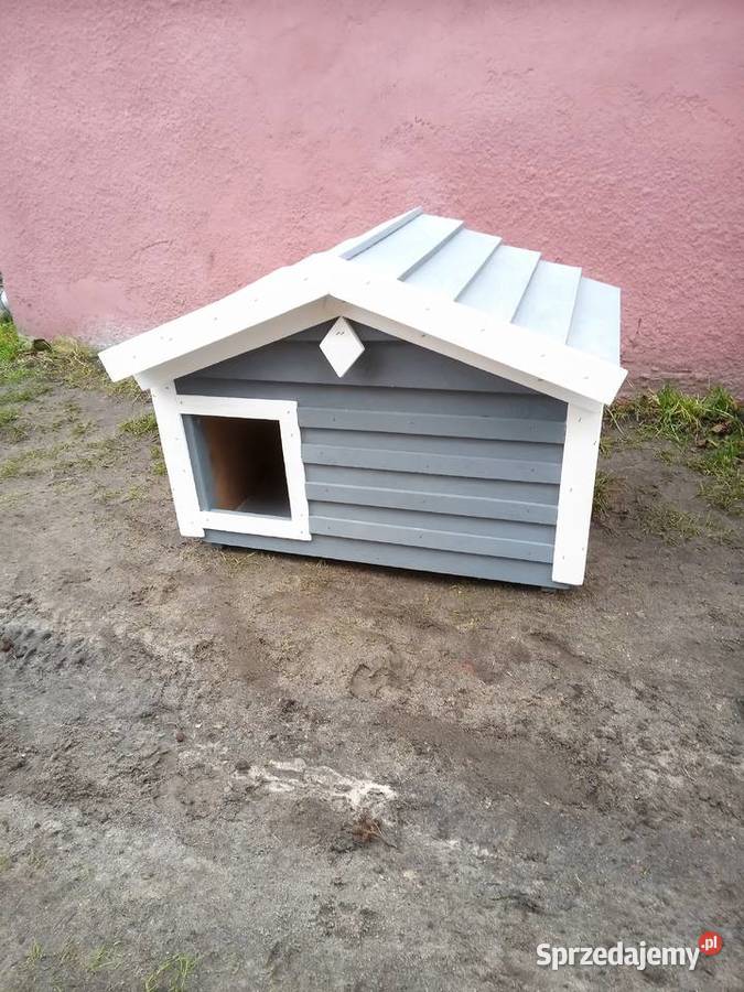Domekbuda kota kotówPromocja Dom i Ogród