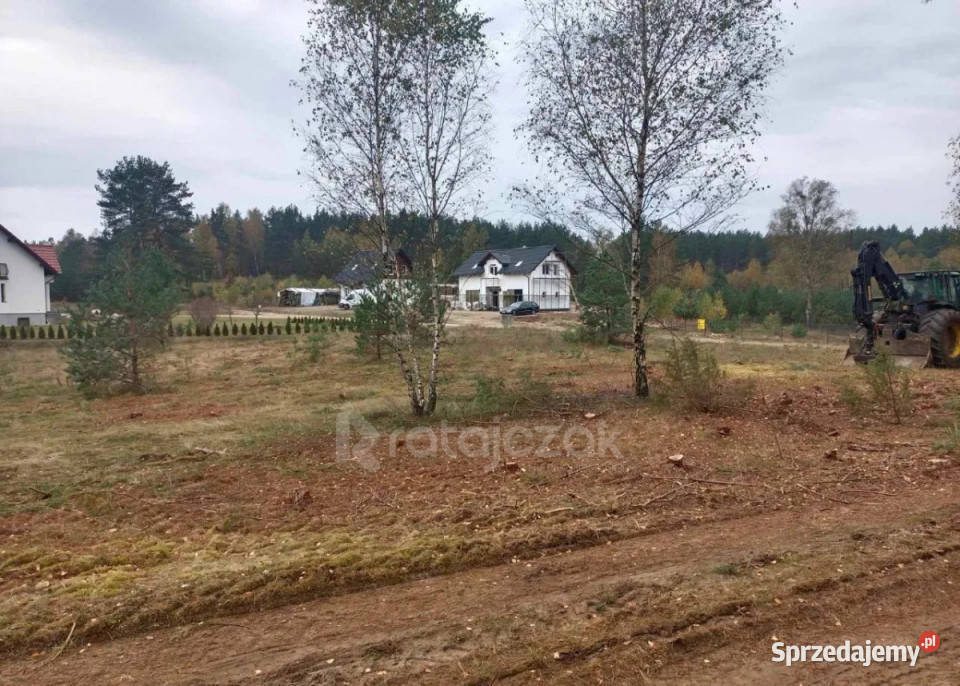 Grunt 42000m2 Przewóz 100m pomorskie sprzedam