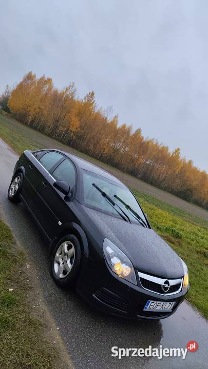 Opel Vectra C GTS 19Cdti 150 Paradyż