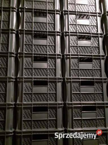 Sprzedam klatkiskrzynki plastikowe Skrzynki i opakowania Radzymin