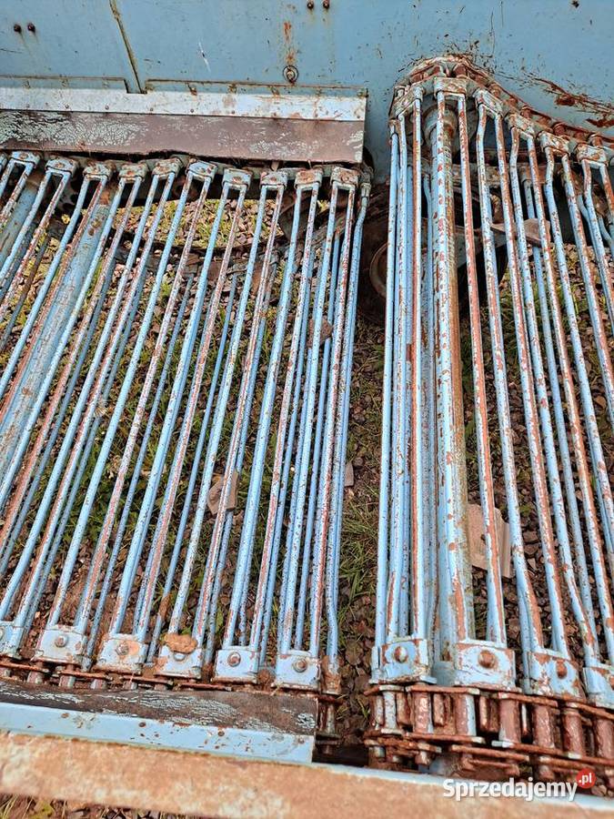 Kopaczka elewatorowa nowa Nowa Słupia sprzedam