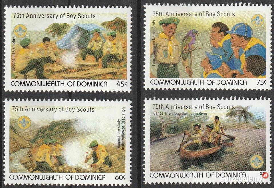 DOMINIKA 75 LAT SKAUTINGU CZYSTE Łódź