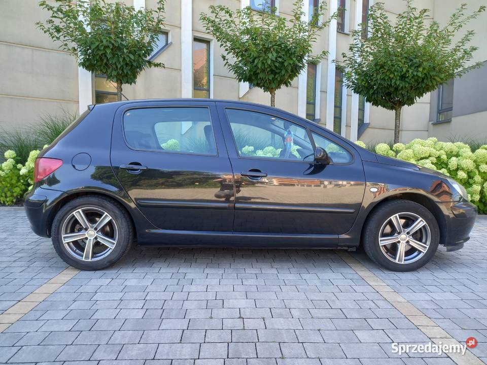 PEUGEOT 307 20HDI 2004r Klima Hak 2 Komplety Rok produkcji 2004 śląskie Gliwice